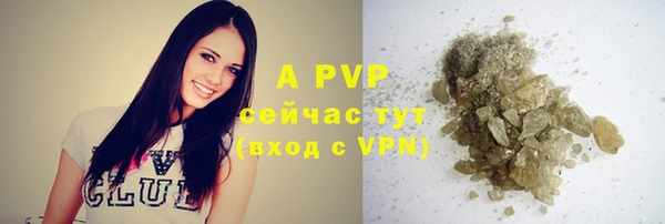 эйфоретик Абаза