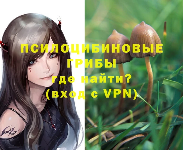 дмт Абинск